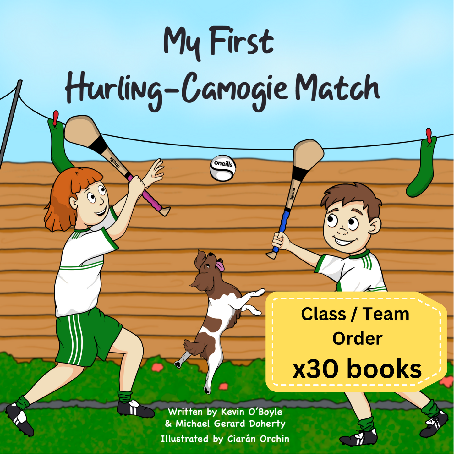My First Hurling-Camogie Match (Class/Team Pack x30 books)